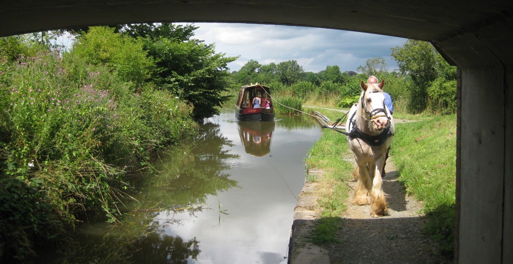 Enjoy the sedate side of life with Cracker the boat horse on the Montgomery Canal in Shropshire